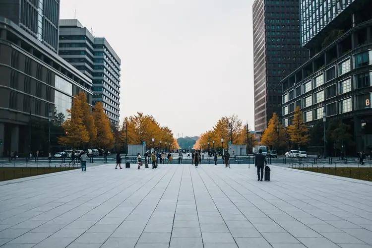 新奥门资料大全费新触最|精选解析解释落实